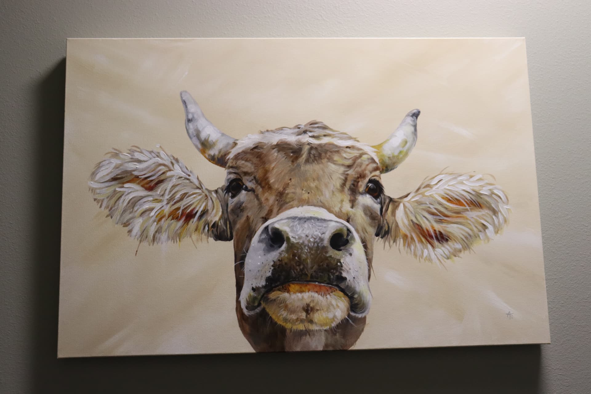 Face Time - Brown Swiss Cow