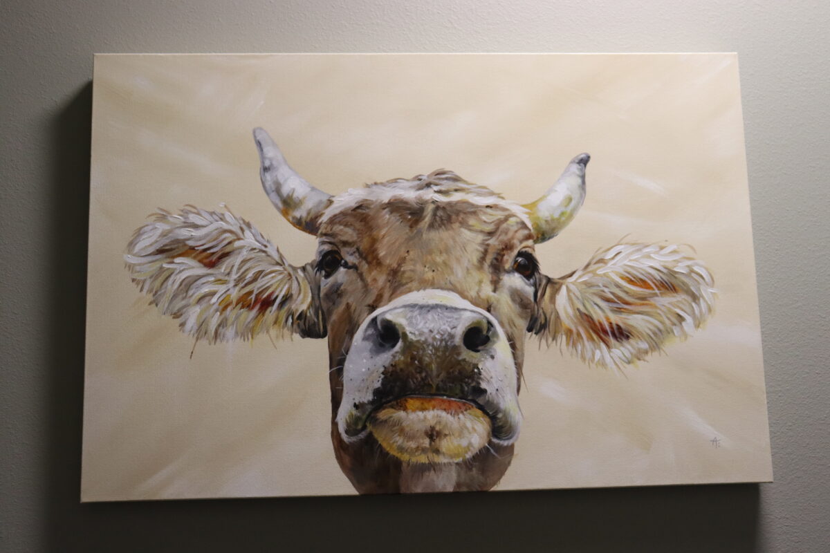 Face Time - Brown Swiss Cow
