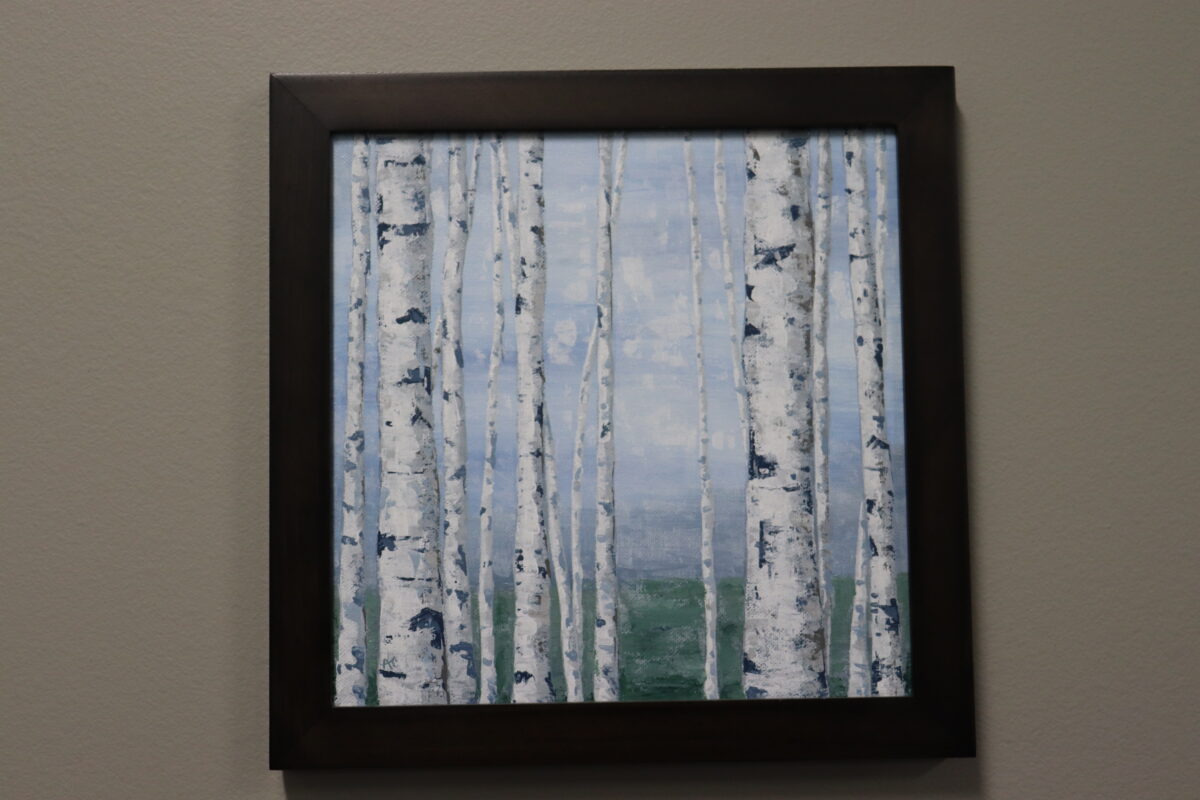 Straight and Narrow - Birch Trees